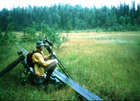 Kuva Timo Vesanto Paanaj�rven kansallispuisto